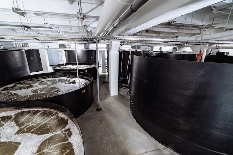 کارخانه مواد تشکیل دهنده لاستیک